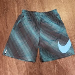 Men's Nike Dri-Fit Shorts